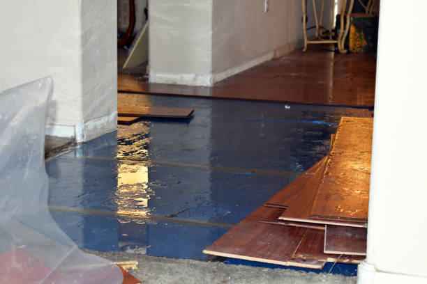 Professional Crawl Space Water Removal technician working in Parker, KS